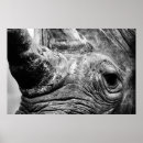 Search for rhinoceroses art Black