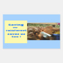 Search for conservation rectangle stickers Apes