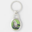Search for dog bite accessories Animal