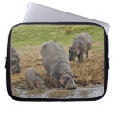 Search for maras electronics Hippopotamus