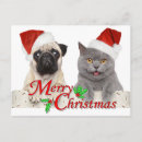 Search for dog christmas postcards Kitten