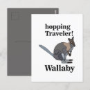 Search for wallabies postcards Kangaroo