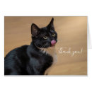 Search for lick cards Kitty