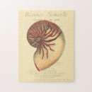 Search for sea shell puzzles Coastal