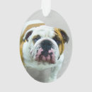 Search for red bull christmas tree decorations Cute