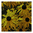 Search for rudbeckia posters Black eyed susan