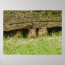 Search for sibling posters Nature