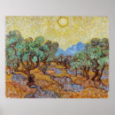 Search for olive tree Olive trees