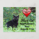 Search for adoption day postcards Black cat
