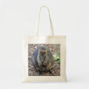 Search for quokka gifts Wallaby