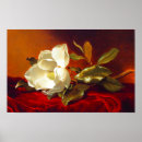 Search for red velvet posters Martin johnson heade