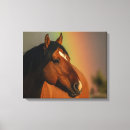 Search for rainbow canvas prints Horse