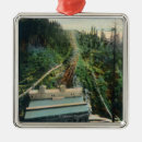 Search for washington state christmas tree decorations Lantern