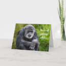 Search for gorilla birthday cards Humour