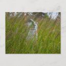 Search for cemeteries postcards Ohio
