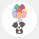 Search for mountain dog stickers Colourful