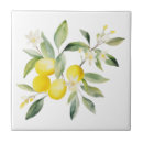 Search for lemon tiles Italy