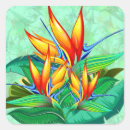Search for exotic flower stickers Beautiful
