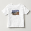 Search for tuscany tshirts Walter bibikow