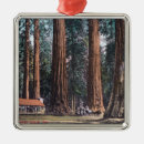 Search for grove christmas tree decorations Yosemite