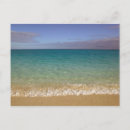Search for environment postcards Shore
