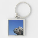 Search for iguanas key rings Animals