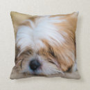 Search for shih tzu cushions Puppy