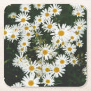 Search for power coasters Bloom