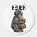 Search for baby monkey magnets Primate