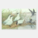 Search for marsh stickers Wetlands