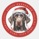 Search for german pointer stickers Puppy