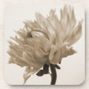 Search for dahlia flower coasters Pretty