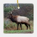 Search for elk christmas tree decorations Wildlife