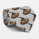 Search for sloth ties Wild