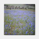 Search for bluebonnet magnets Floral