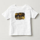 Search for modern architecture tshirts Australia