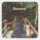 Search for borneo stickers Malaysia