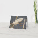 Search for cattail cattail cards Landscape