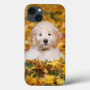 Search for mix ipad cases Pet