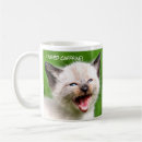 Search for siamese cat mugs Fun