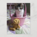 Search for hello kitty postcards Cute