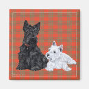 Search for scotty magnets Dogs