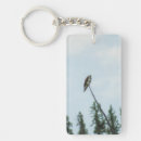 Search for ospreys key rings Nature