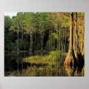 Search for region art Landscape