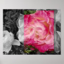 Search for 11x14 posters Flower