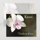 Search for white orchid postcards Floral
