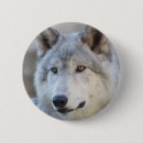Search for wolf badges Nature