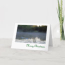 Search for swans christmas cards Green
