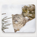 Search for snow leopard mouse mats Animal