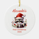 Search for cute racoon christmas tree decorations Baby first christmas